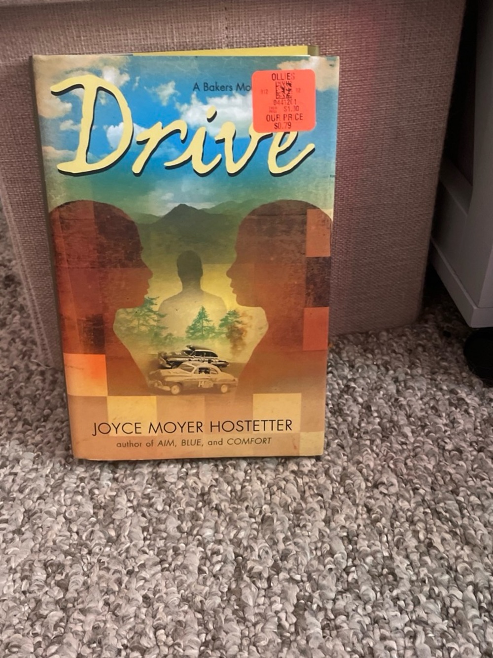 Drive by Joyce Moyer Hostetter - Multicolor Cover